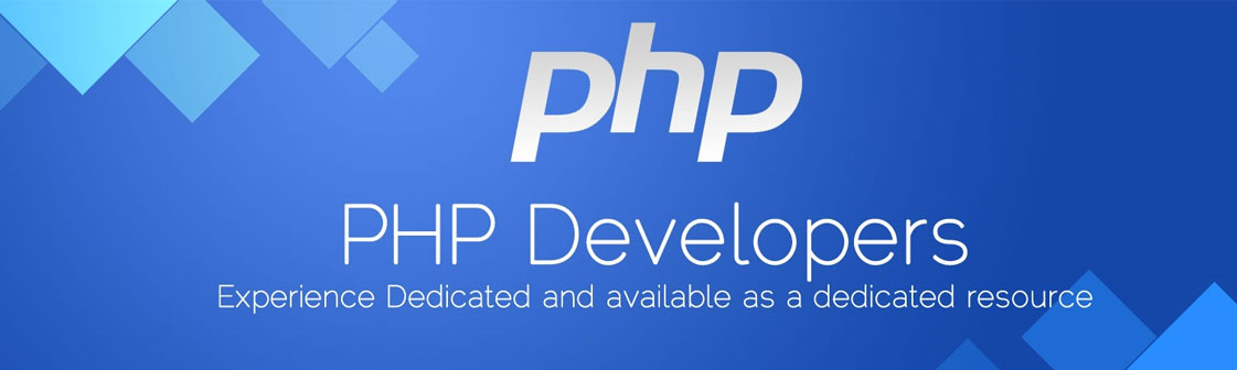 cheap php development company in vikaspuri new delhi